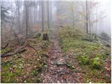 Kolnica - Planinski dom Goška ravan